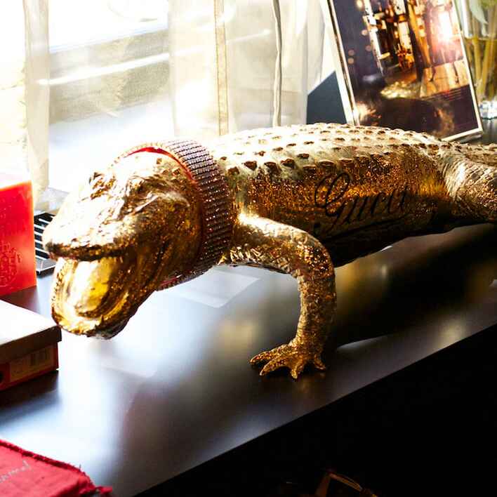Gold Gucci alligator from Cindy's Black Apartment.